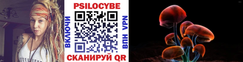 где купить наркоту  MEGA зеркало  Галлюциногенные грибы Psilocybe  Славянск-на-Кубани 